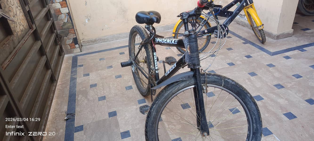 PHOENIX OVAL cycle 0