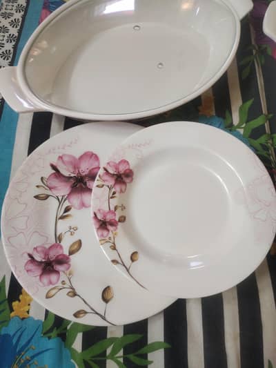 Dinner Set 8 Peroson