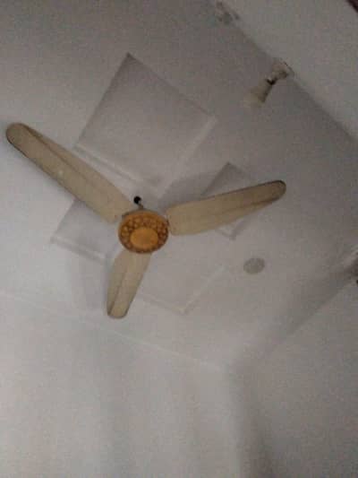 GFC Ceiling FAN 3 par fan 6000