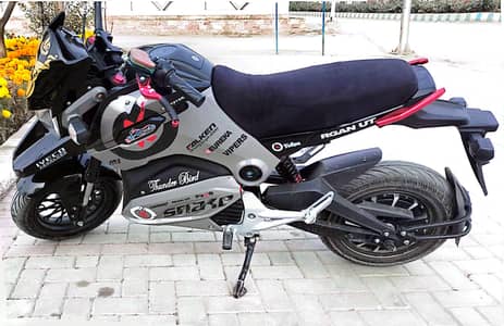 E turbo Thunderbird bike applied