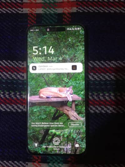 Tecno Spark 40 Pro Plus