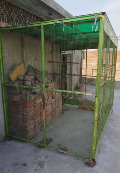 birds big cages was sale