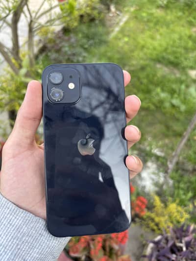 iPhone 12 Non PTA 64gb