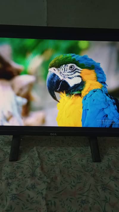 DELL 22 inch LED    "FINAL PRICE"