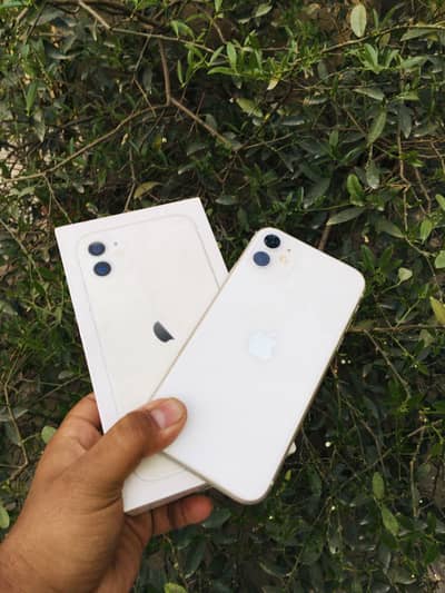 iphone 11 pta approved