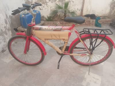 Safari (III Bar) – 24T