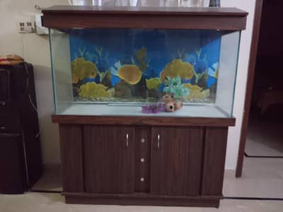 aquarium for sale