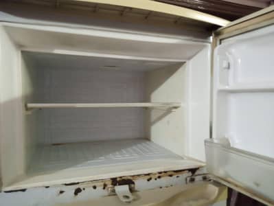 waves refrigerator for sell final price