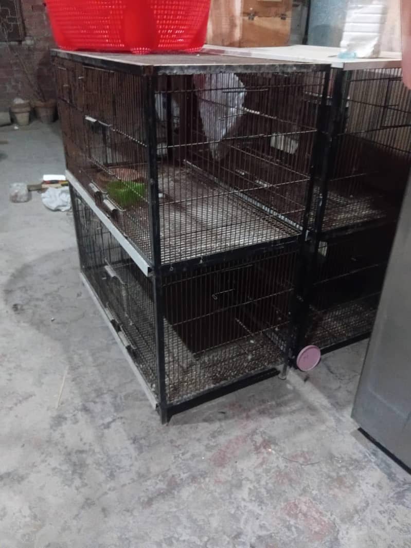 cages 2 1