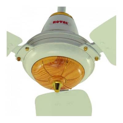 Royal Fans Regent Model