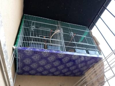 1 cage for sale