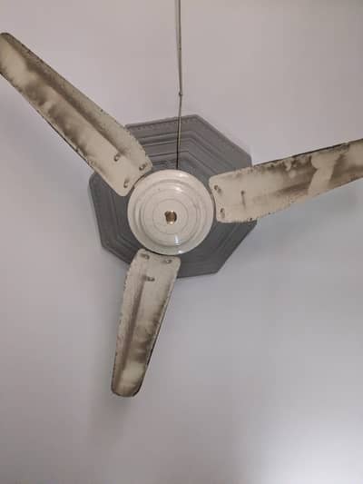 Ceiling Fans for sale