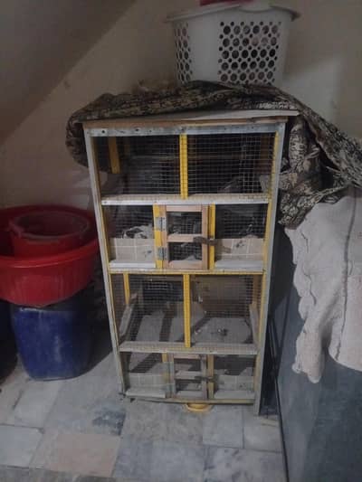 Bird cage for sale