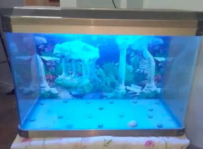 Aquarium for sale on urgent basis