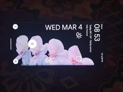 Google pixel 6pro water pack sim approved