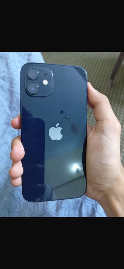 IPHONE 12 (ALL OKAY)
