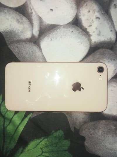 IPhone 8 | 64 GB | 100% Battery | Perfect Condition 0 Damage | Non Pta