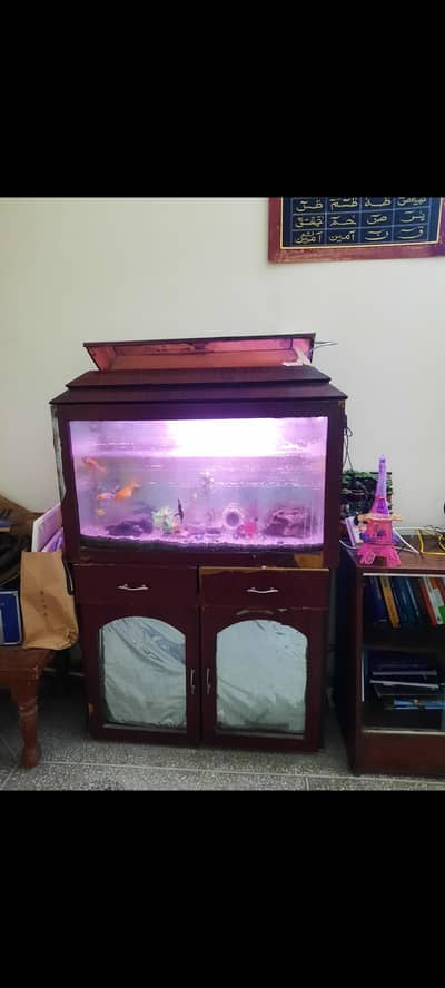 Fish Aquarium