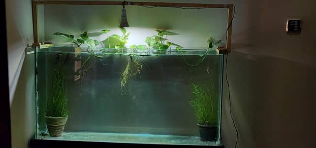 4ft aquarium for sale