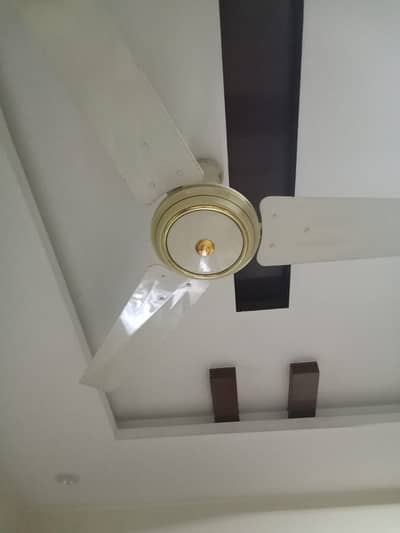 GFC Ceiling Fans