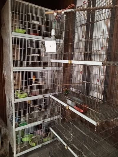 2Cage Angel &With out Angel