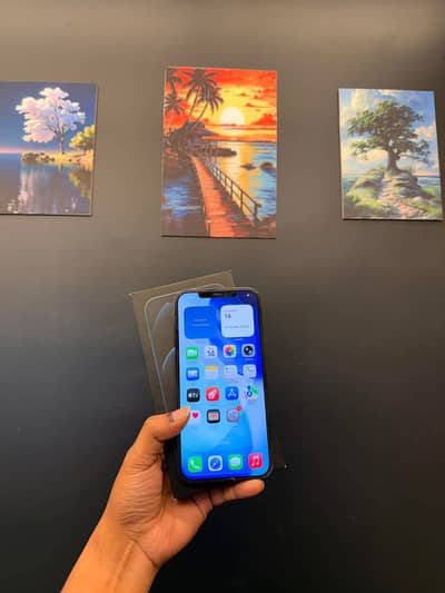 Iphone 12 pro max 256gb with box PTA approved
