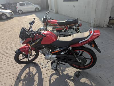 Yamaha YBR 125 2020