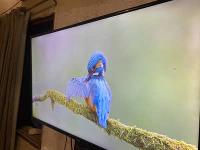 Haier LCD 1080P With movable stand and box