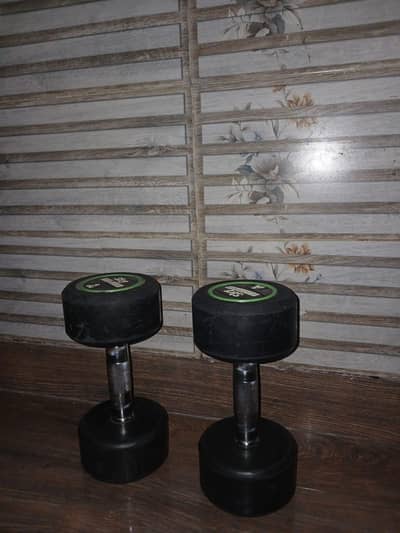 Dumbbells for saliing best opportunity