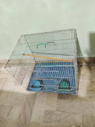 birds cage for sale
