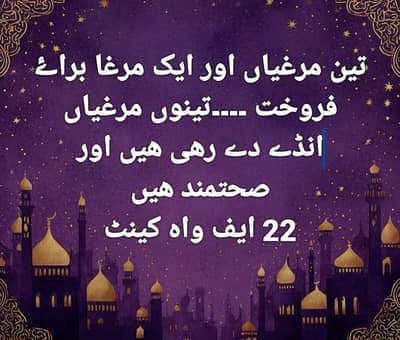 teen murguan r aik murgha