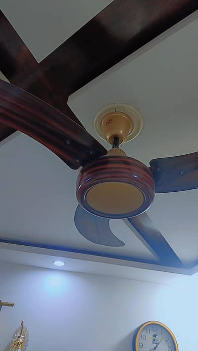 SK#1 brand ceilling Fans 56',