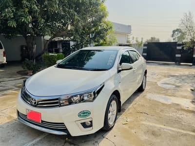 Gli 2016/17 Model Antique piece