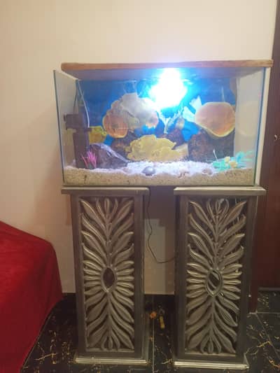 big size aquarium