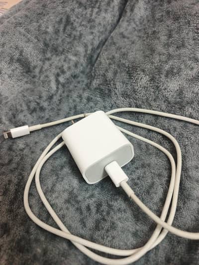 Iphone Orginal Charger