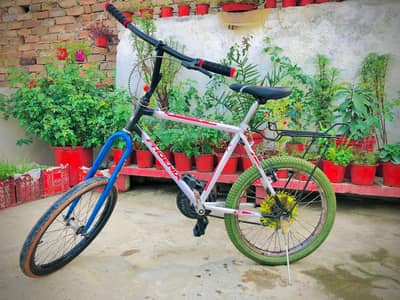 for sale at optimum price