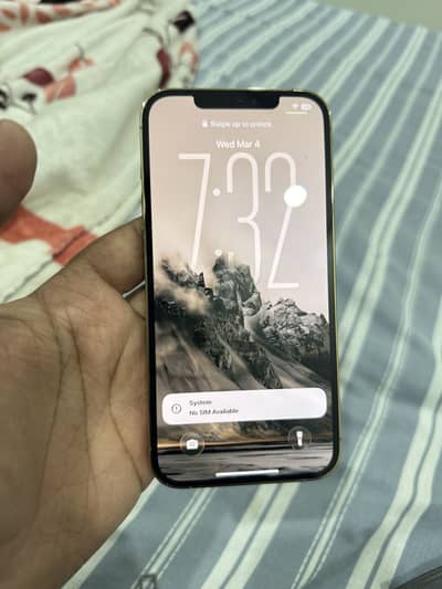 128GB 12 pro max PTA