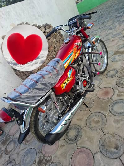 25 26 da aw deer zabr10 da