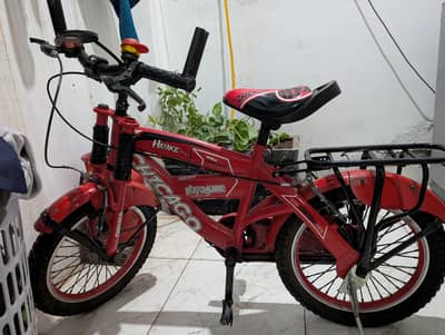 Chicago Bicycle 2 seater. . .