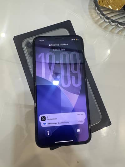 iPhone 11 Pro Max (256GB, PTA Approved with Box) bought from UAE.