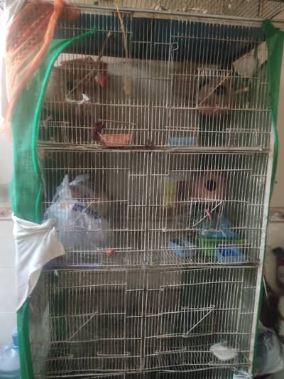 pinjra/cage for sale