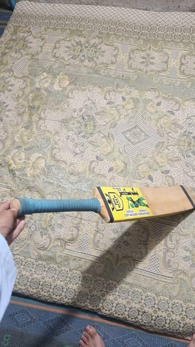 Big sixer Bat with cover