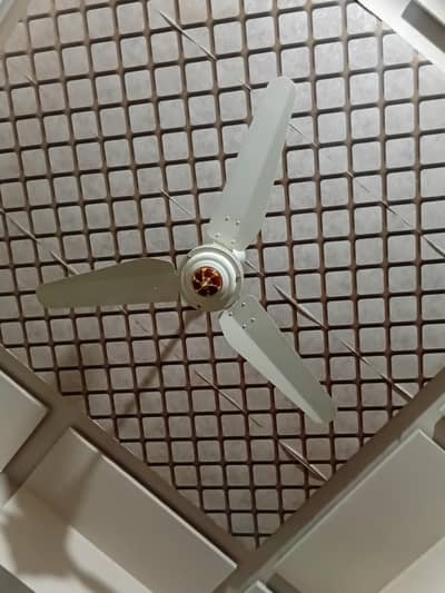 Ceiling Fan super Asia