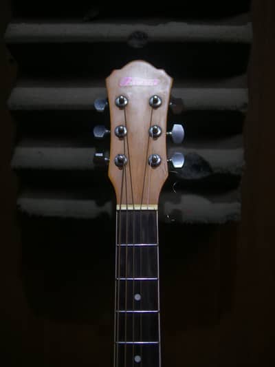 focus Acoustics Guitar