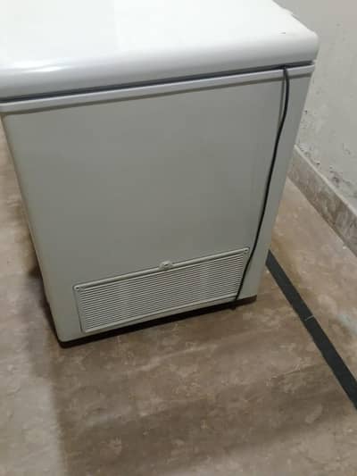 Fareezar just 6 months used