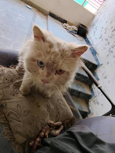 jis ko chahiye rabta kare