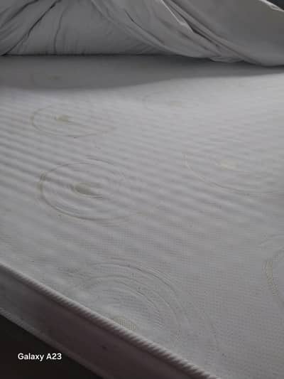 master molty foam orginal medicated series 6 inches