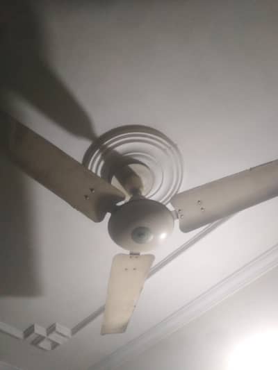 Royal ceiling fan