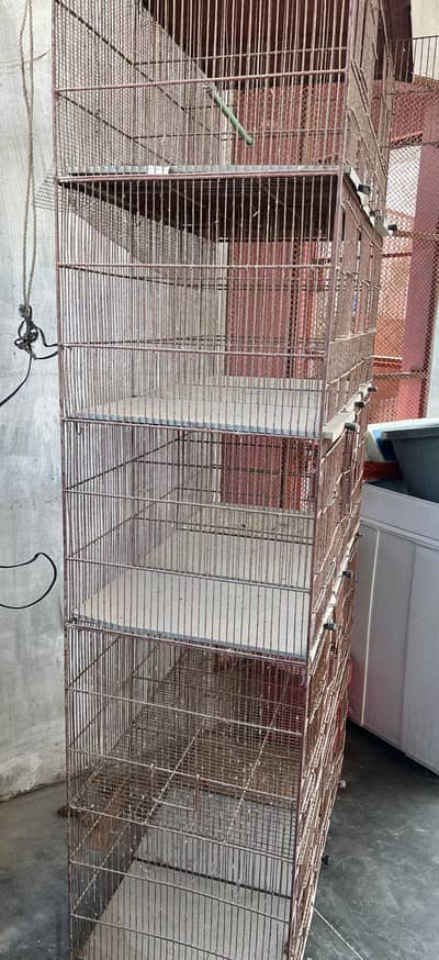 Pinjra #cage #parrotcage #hencage