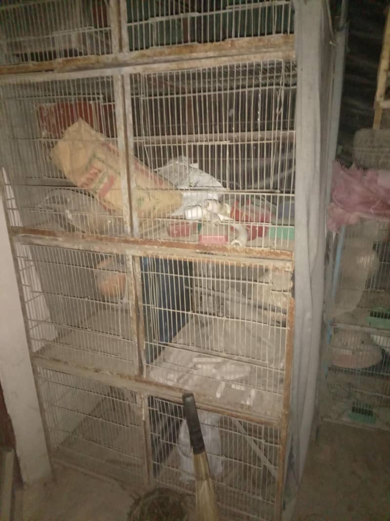 cages average look 0